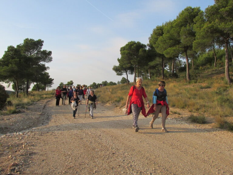 Vitrolles plateau3 768x577